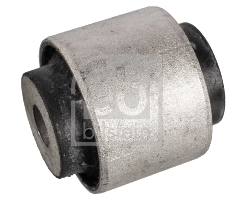 Mounting, control/trailing arm